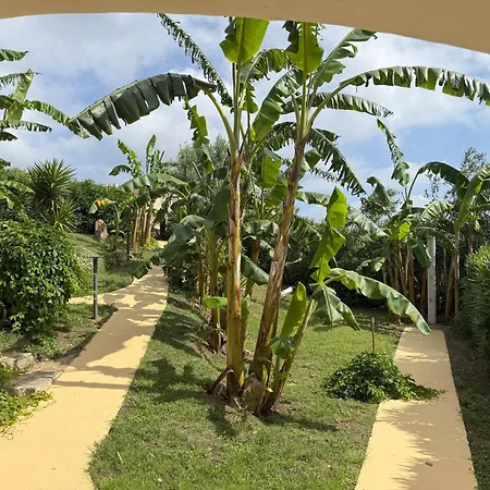 I Banani بيت للعطل